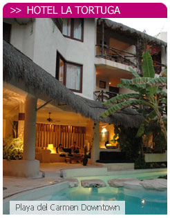 Hotel La Tortuga top hotel on trip advisory